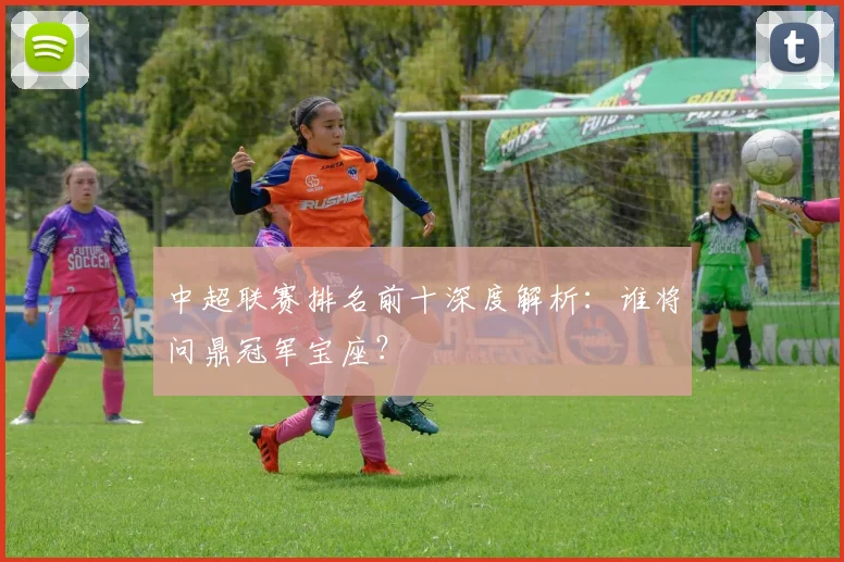 中超联赛排名前十深度解析：谁将问鼎冠军宝座？