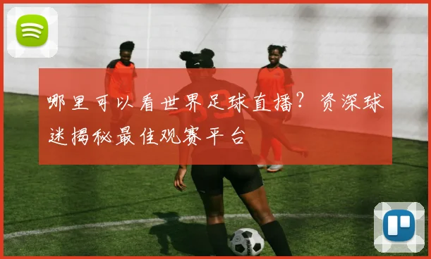 哪里可以看世界足球直播？资深球迷揭秘最佳观赛平台