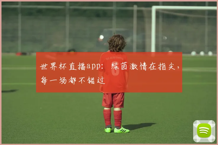 世界杯直播app：绿茵激情在指尖，每一场都不错过