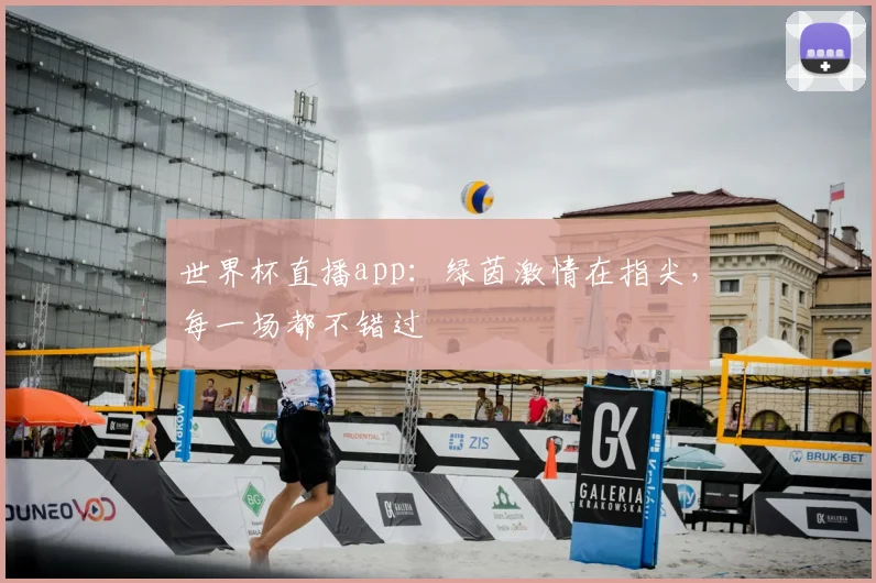 世界杯直播app:绿茵激情在指尖,每一场都不错过